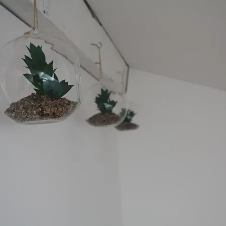 Lägenhet Central Kaunas Apartment